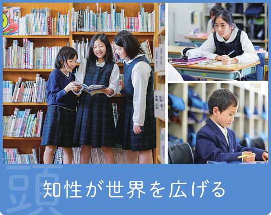 知性が世界を広げる